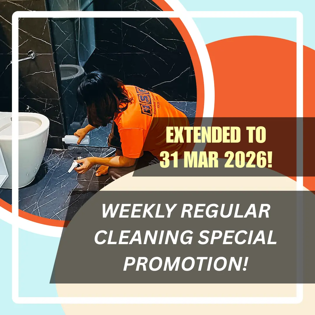REGULAR CLEANING PROMOTION